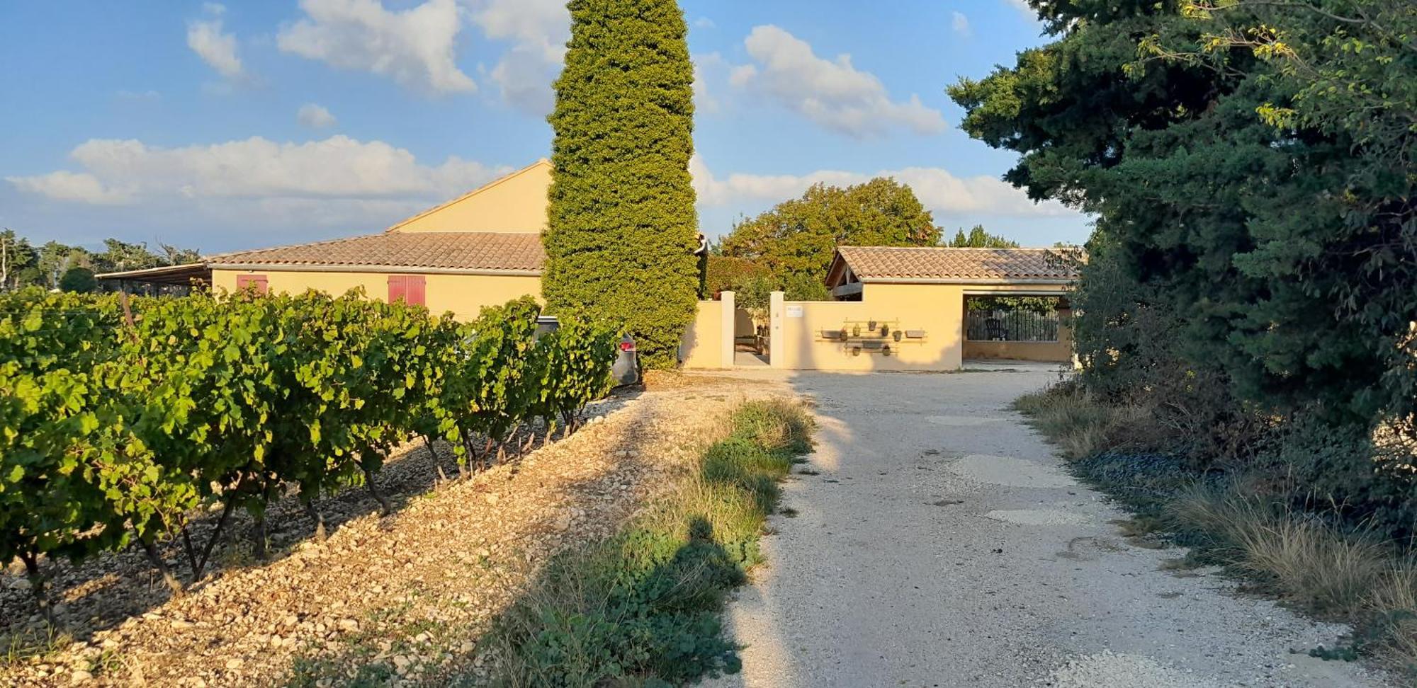 Mas La Gentille ,,, A La Campagne , Beautiful Outdoor , Swimming Pool , Pool House , Nice Green Garden , Bbq ,,, Only For You , Pour Passer Un Sejour Inoubliable แปร์นส์-เลส์-ฟงแตนส์ ภายนอก รูปภาพ